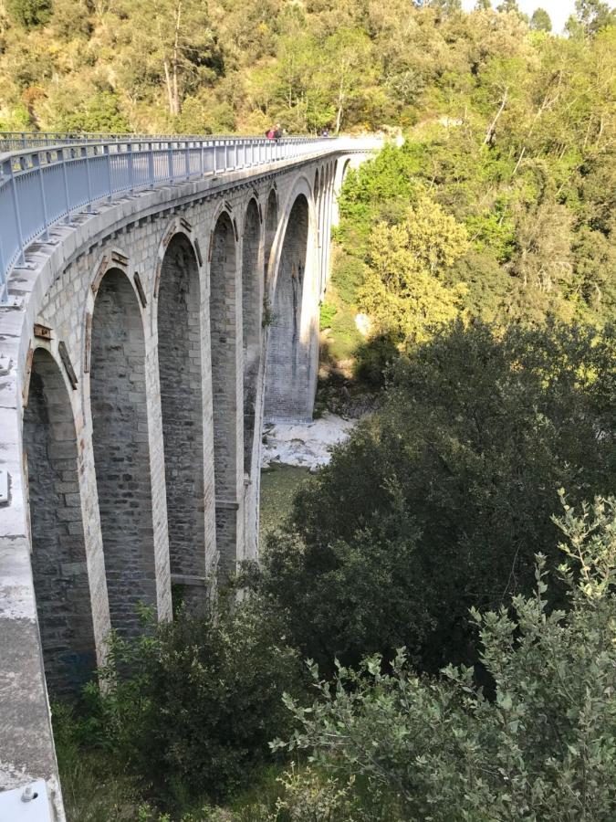 Gite Des 3 Vallees - Le Soleil Des Cevennes Leilighet Saint-Jean-du-Gard Eksteriør bilde