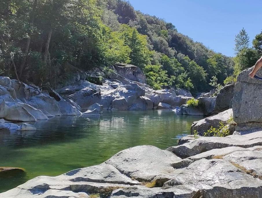 Gite Des 3 Vallees - Le Soleil Des Cevennes Leilighet Saint-Jean-du-Gard Eksteriør bilde