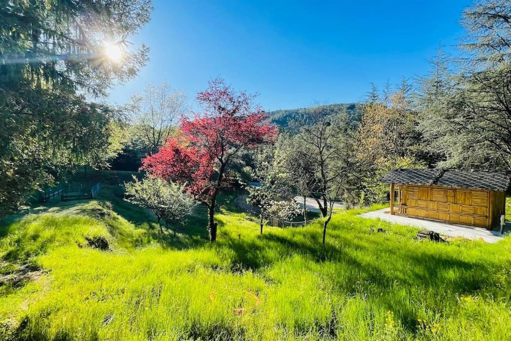 Gite Des 3 Vallees - Le Soleil Des Cevennes Leilighet Saint-Jean-du-Gard Eksteriør bilde