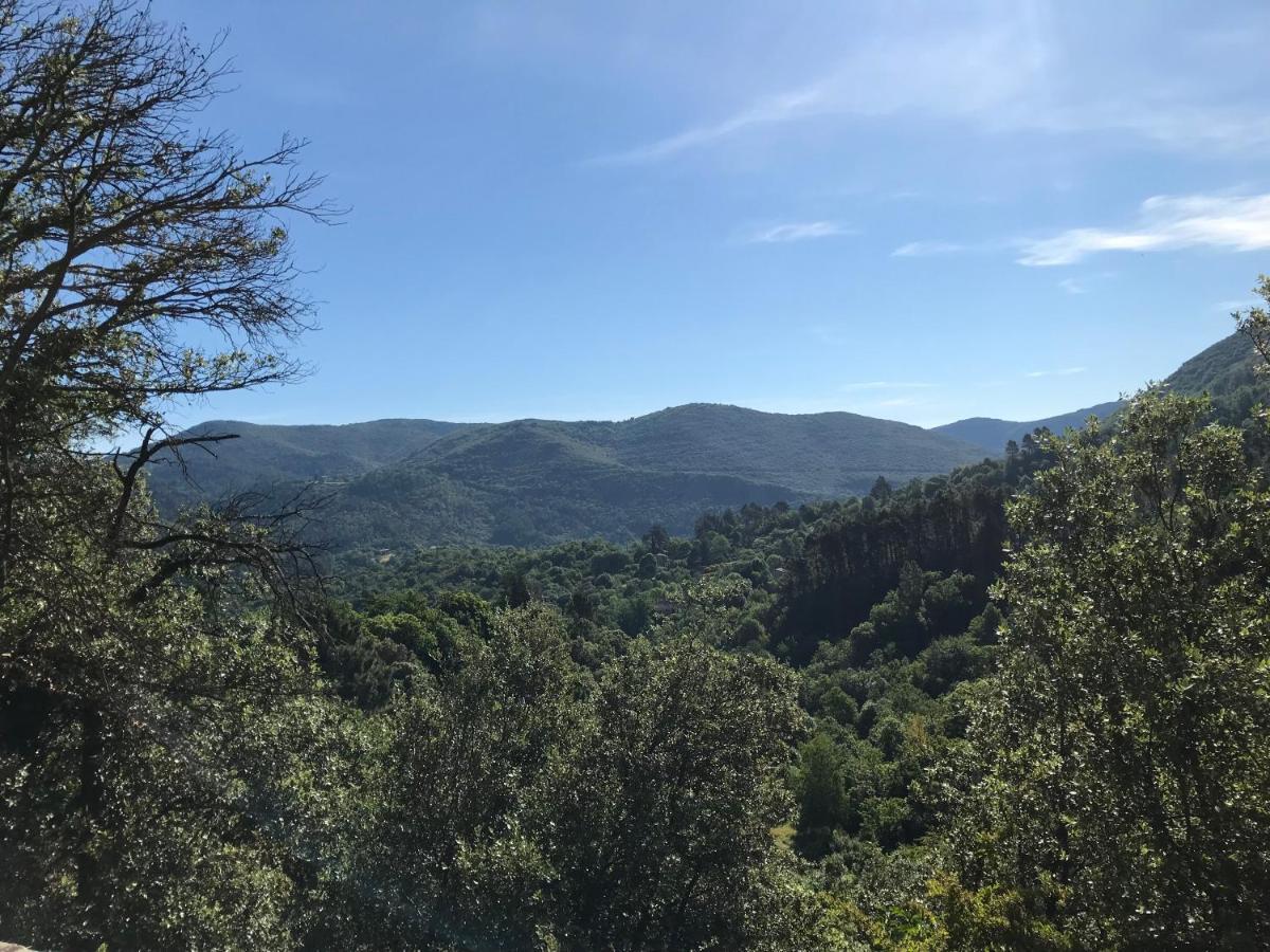 Gite Des 3 Vallees - Le Soleil Des Cevennes Leilighet Saint-Jean-du-Gard Eksteriør bilde