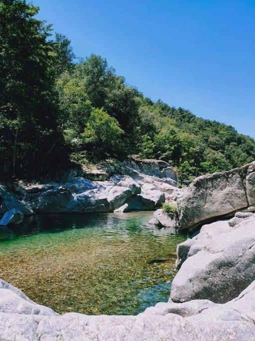 Gite Des 3 Vallees - Le Soleil Des Cevennes Leilighet Saint-Jean-du-Gard Eksteriør bilde