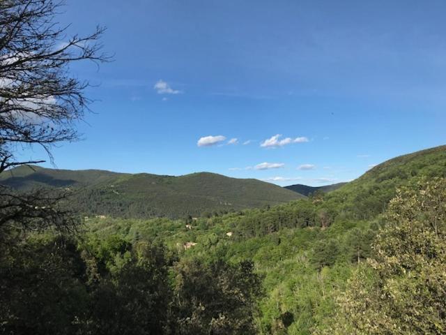 Gite Des 3 Vallees - Le Soleil Des Cevennes Leilighet Saint-Jean-du-Gard Eksteriør bilde